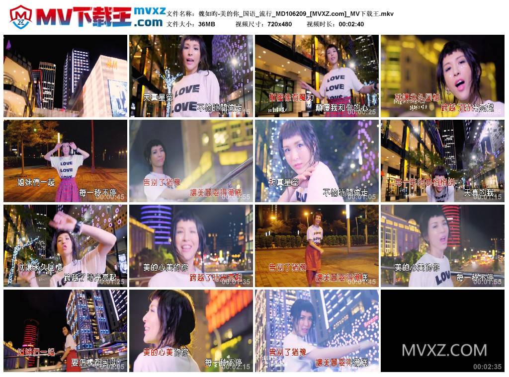 魏如昀-美的你_国语_流行_MD106209